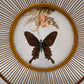 84682 Piatto decorativo in vimini con farfalla