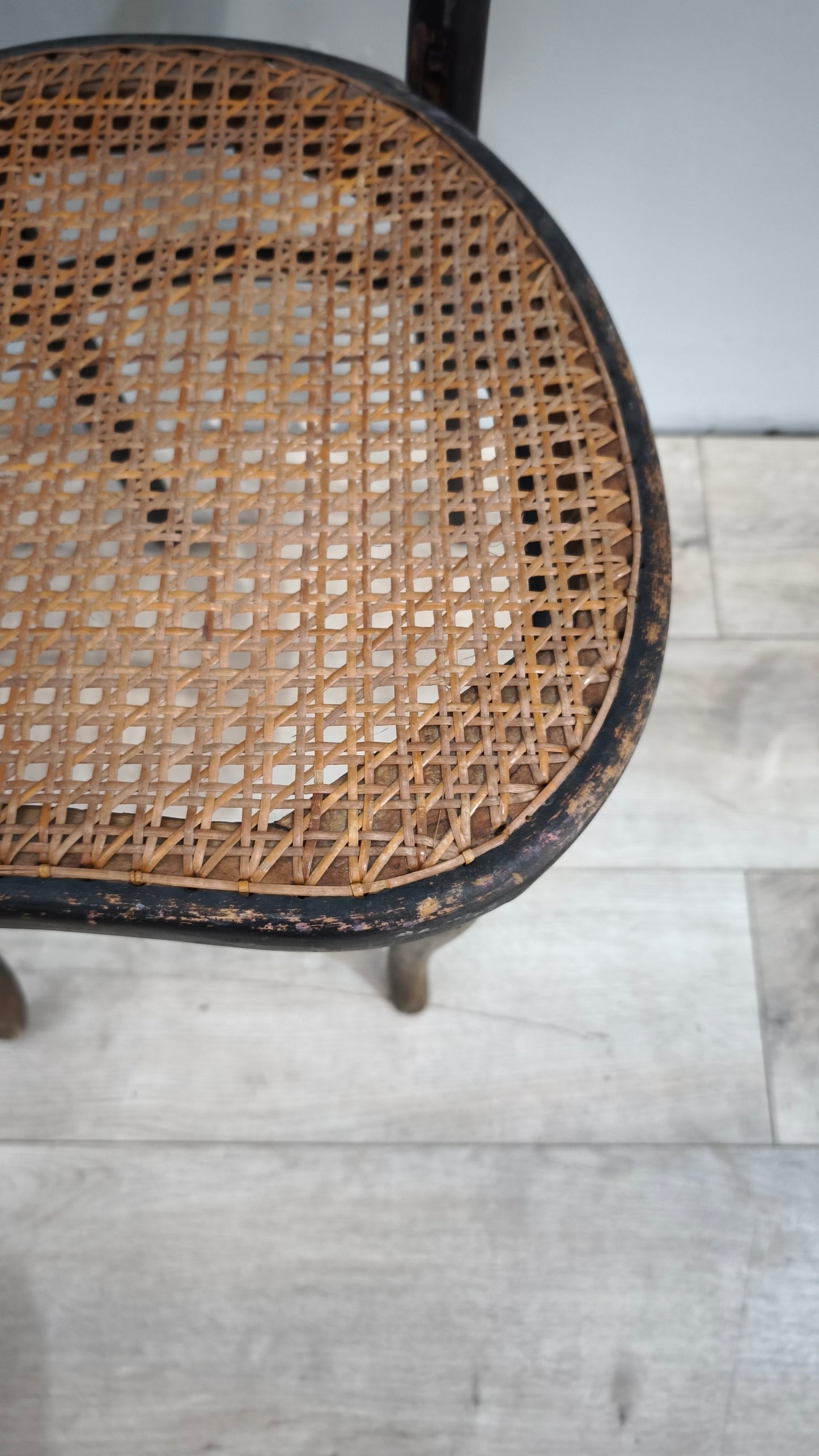 87545 Sedia Thonet da concerto (da rivedere)