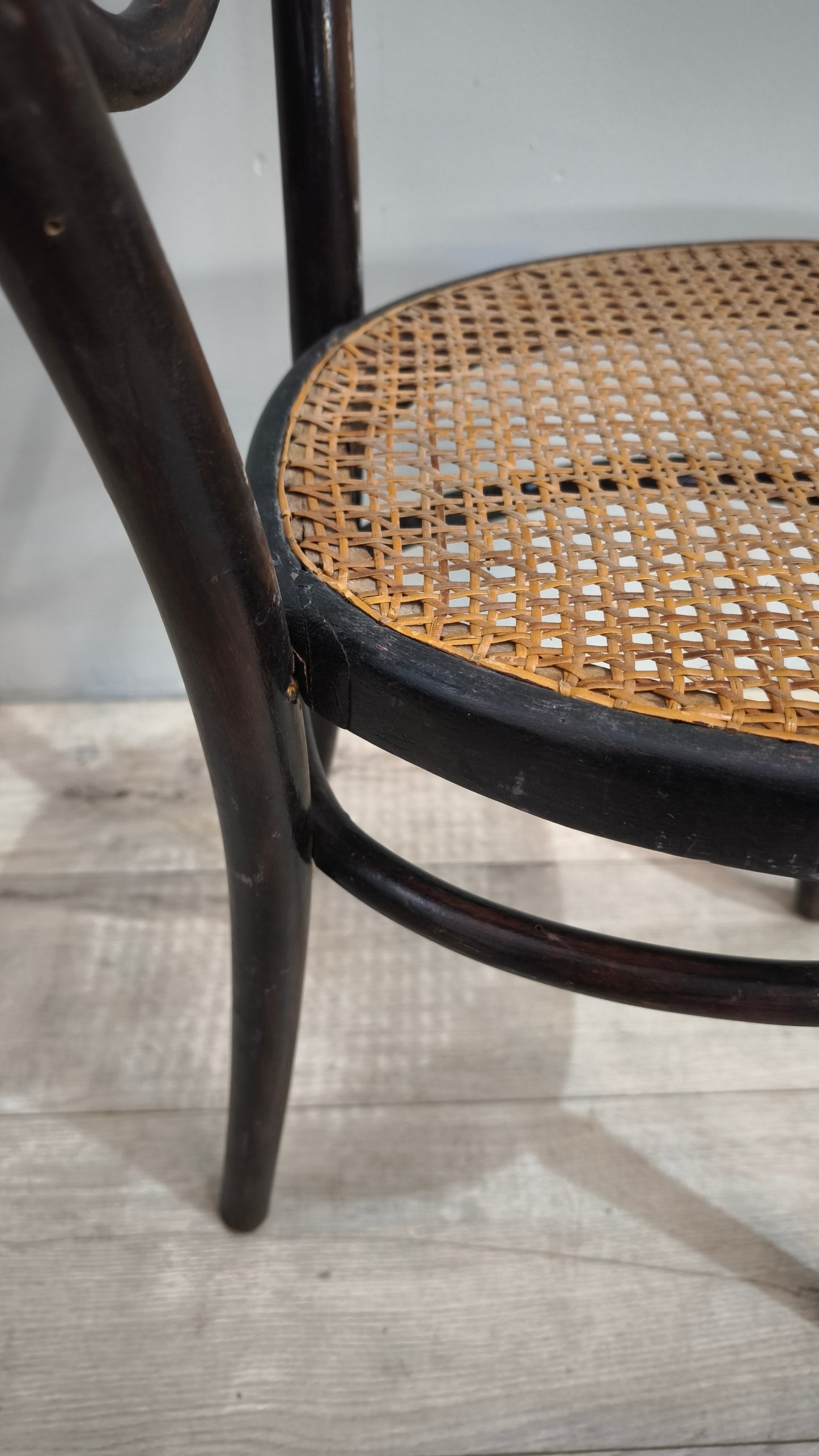 87544 Sedia Thonet da concerto
