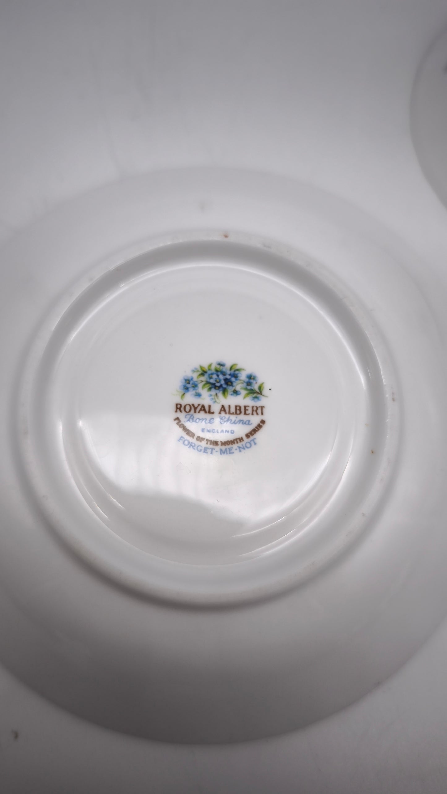 88280 Tazza da tè in ceramica Royal Albert, Flower of the month series, Forget-me-not, July