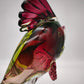 88552 Pesce in vetro rosso e verde