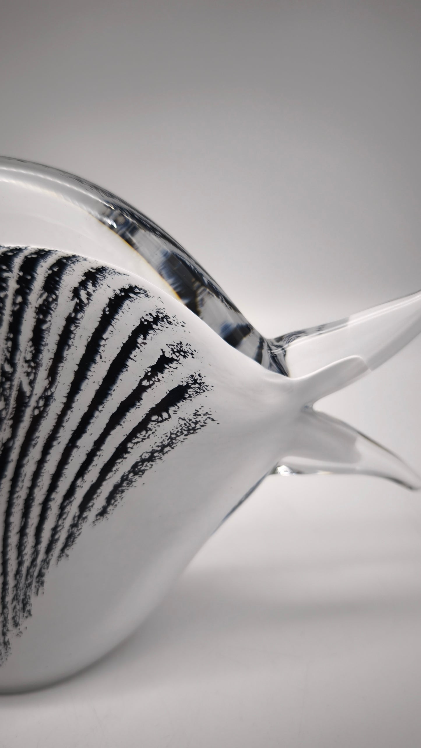 88549 Pesce in vetro Sardinia Crystal
