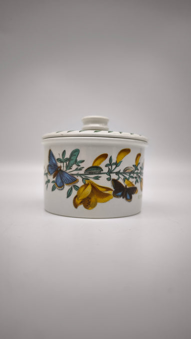 89032 Barattolo in ceramica Portmeirion, The Botanic Garden, Cytisus Scoparius