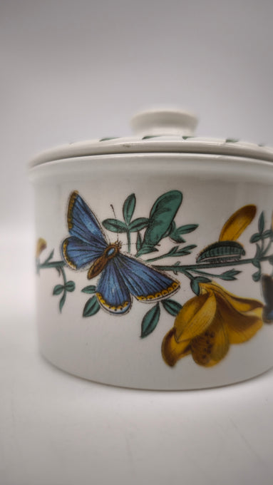 89032 Barattolo in ceramica Portmeirion, The Botanic Garden, Cytisus Scoparius