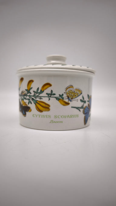 89032 Barattolo in ceramica Portmeirion, The Botanic Garden, Cytisus Scoparius