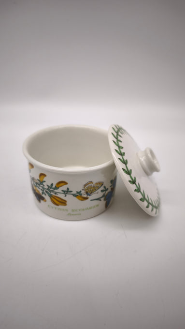 89032 Barattolo in ceramica Portmeirion, The Botanic Garden, Cytisus Scoparius