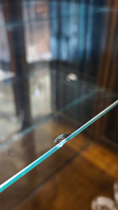 89405 Vetrinetta stile art déco con sportelli laterali