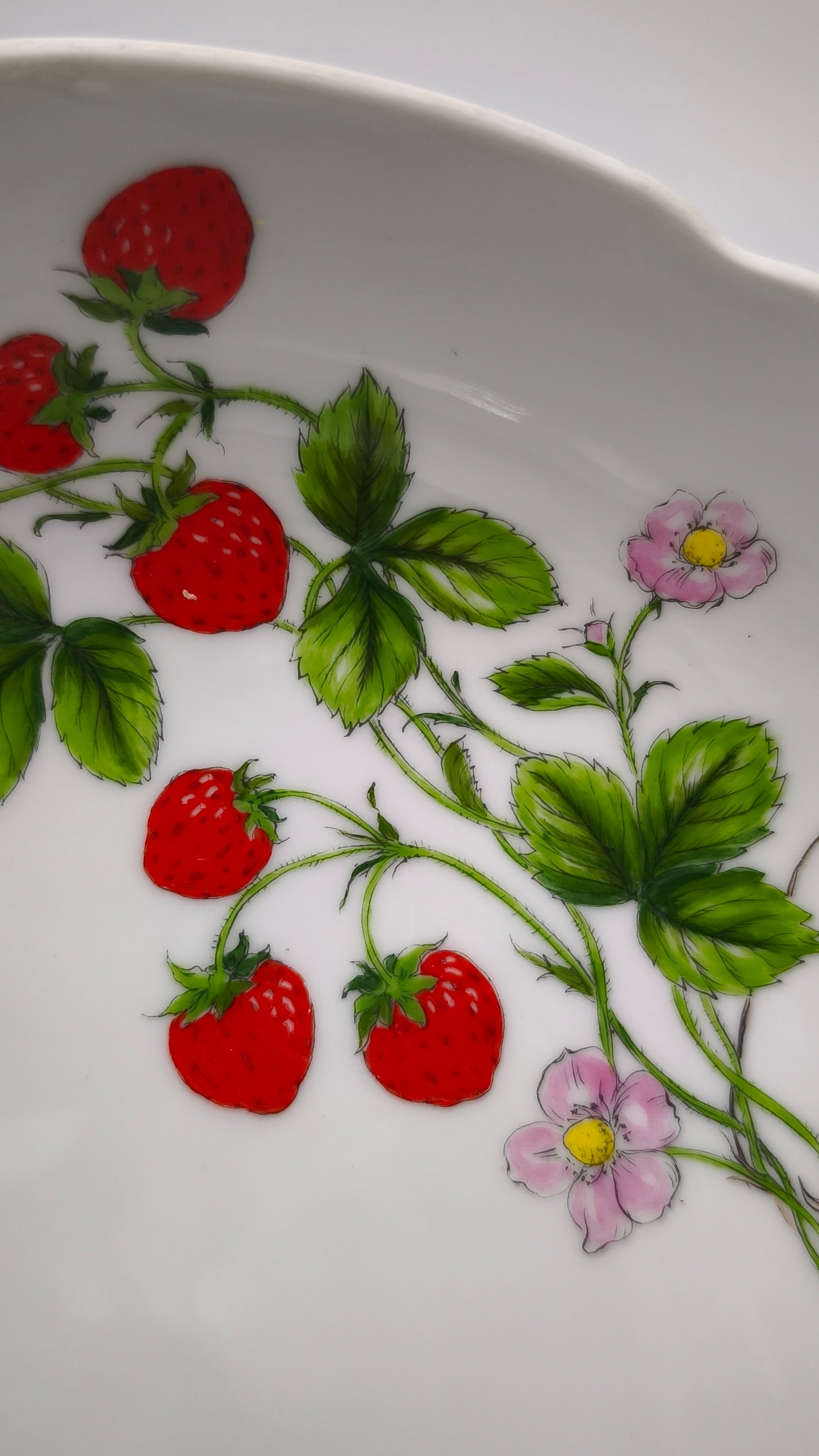 12 Set da macedonia 'Fraises De Quatre Saisons' di Nicole Bernardaud per Limoges
