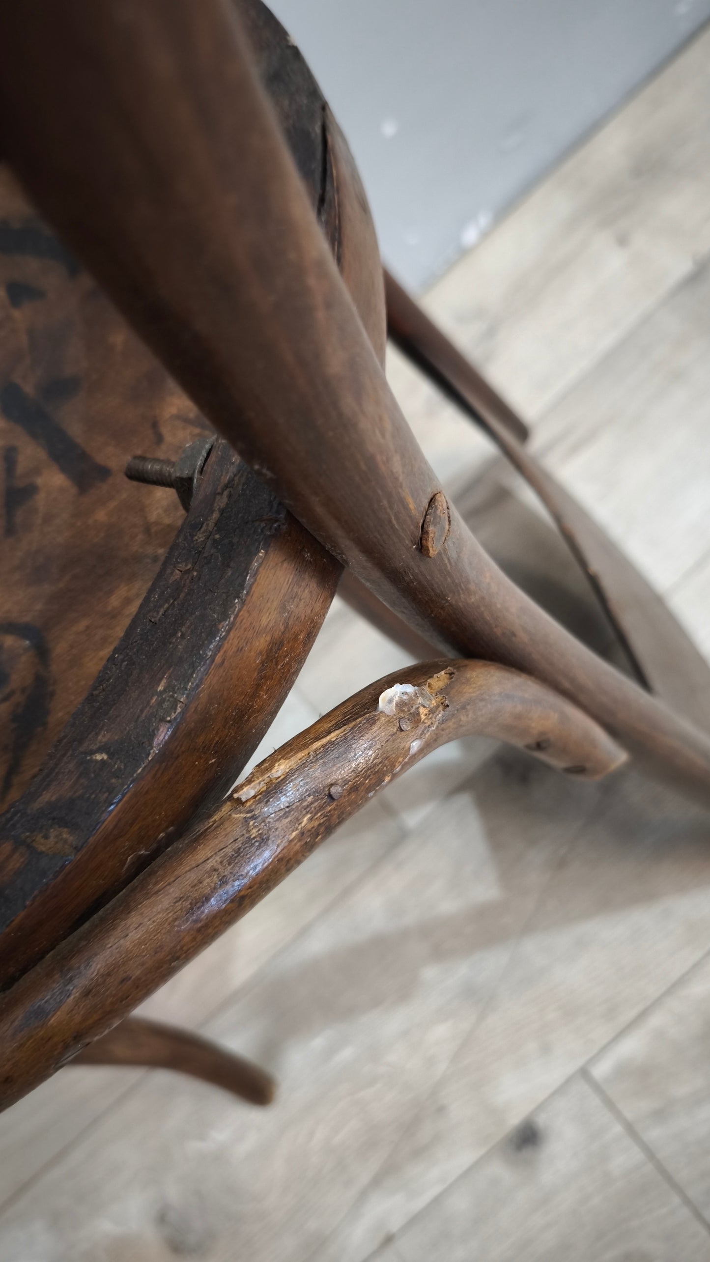 92481 Set n 4 sedie stile Thonet in legno di faggio incurvato con decorazioni in rilievo