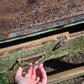 Bancone industriale vintage in legno con piano rivestito in ferro