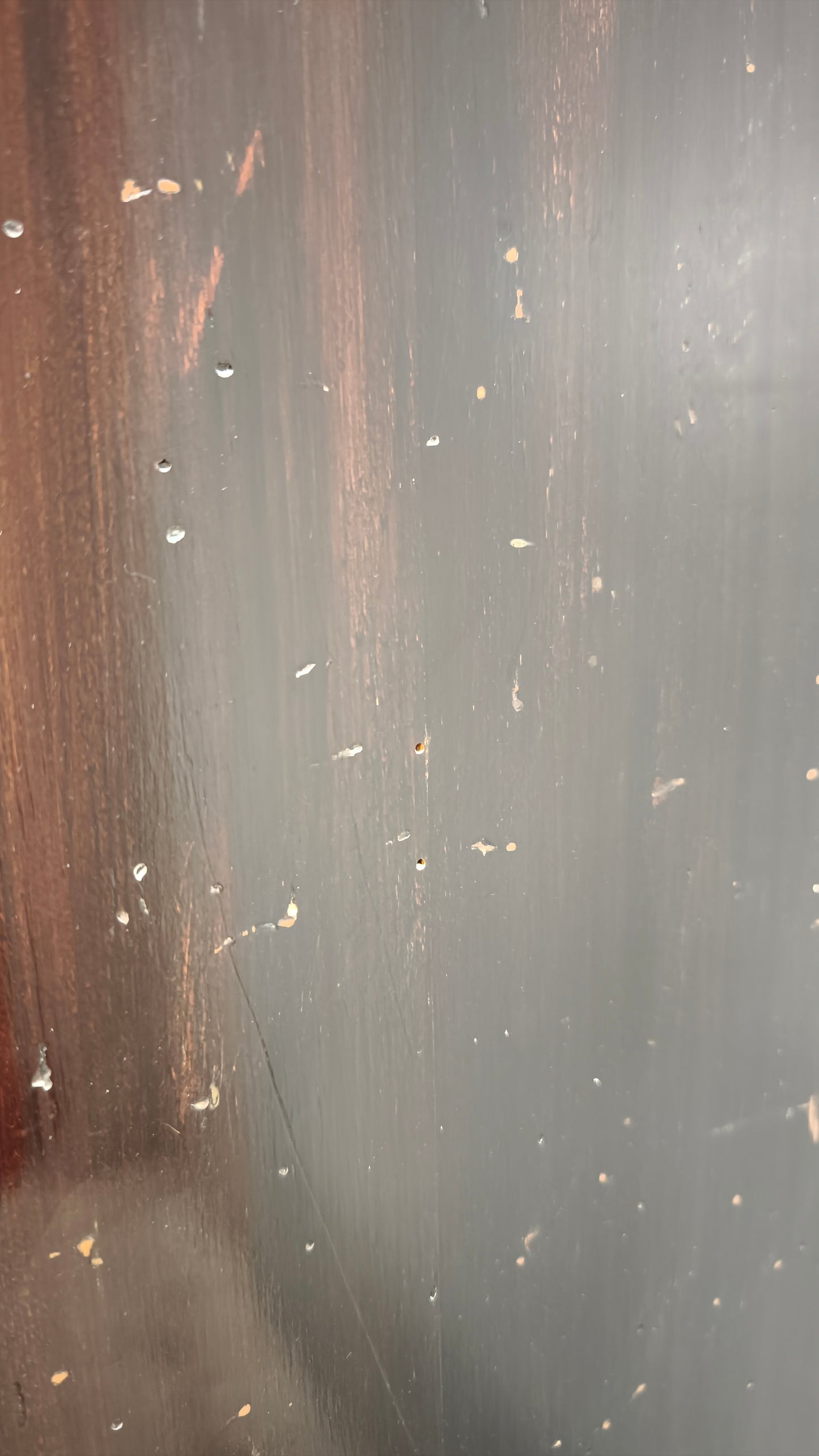 92557 Vetrinetta in legno con sportello bombato