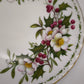 92582 Piatto da dessert in ceramica Royal Albert, Flower of the month series, Christmas rose, December