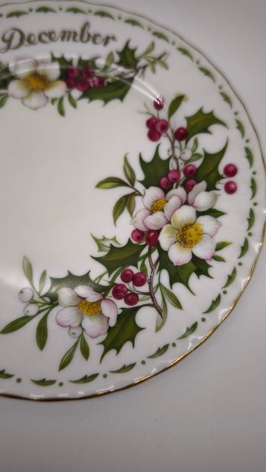 92582 Piatto da dessert in ceramica Royal Albert, Flower of the month series, Christmas rose, December