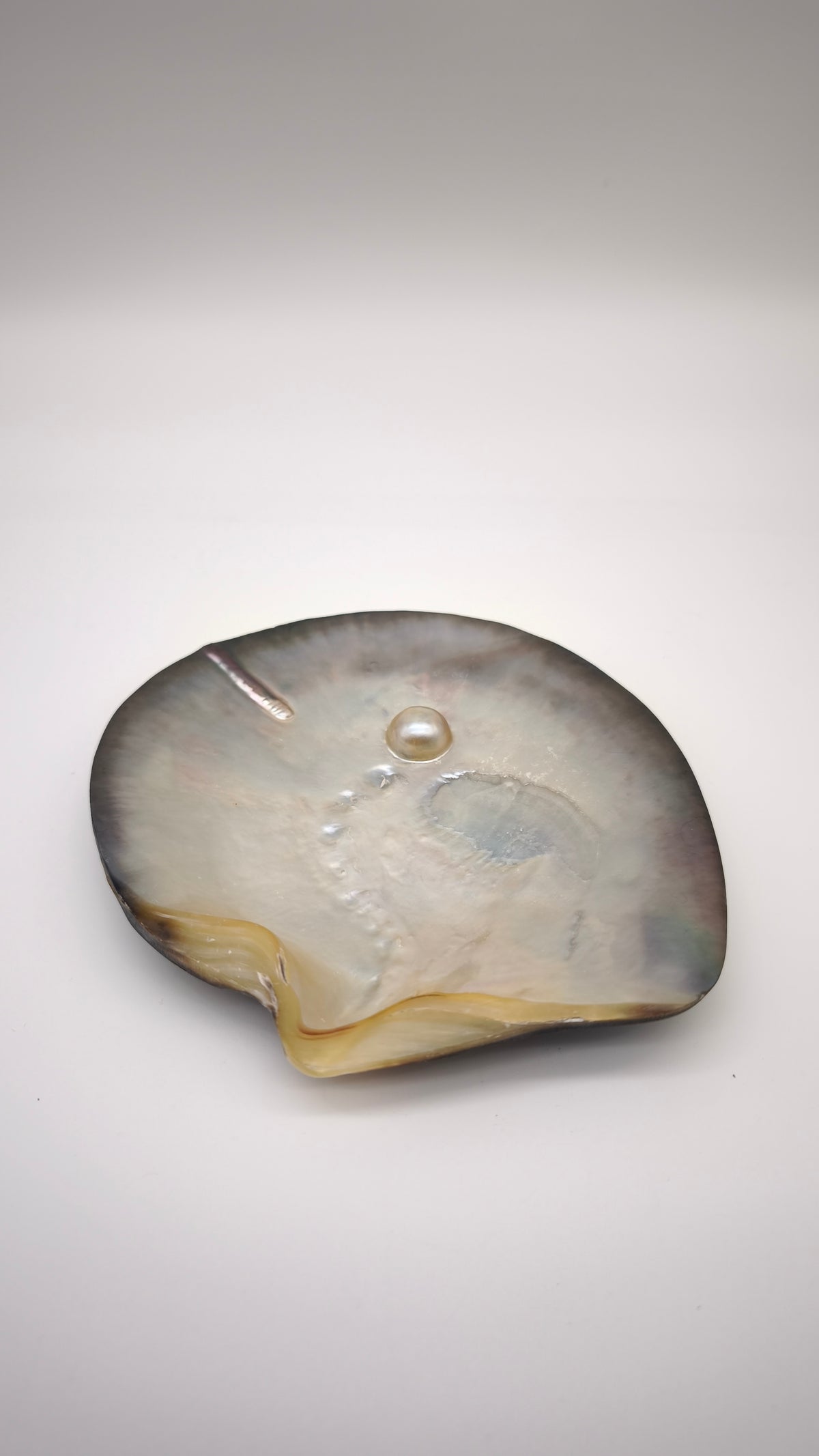 93062 Svuota tasche in madre perla incisa