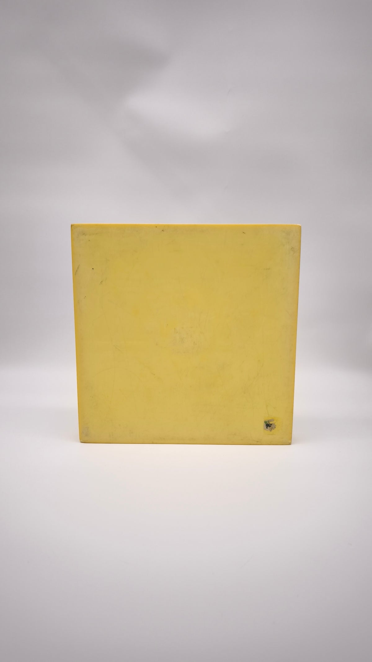93064 Valva di ostrica perlifera