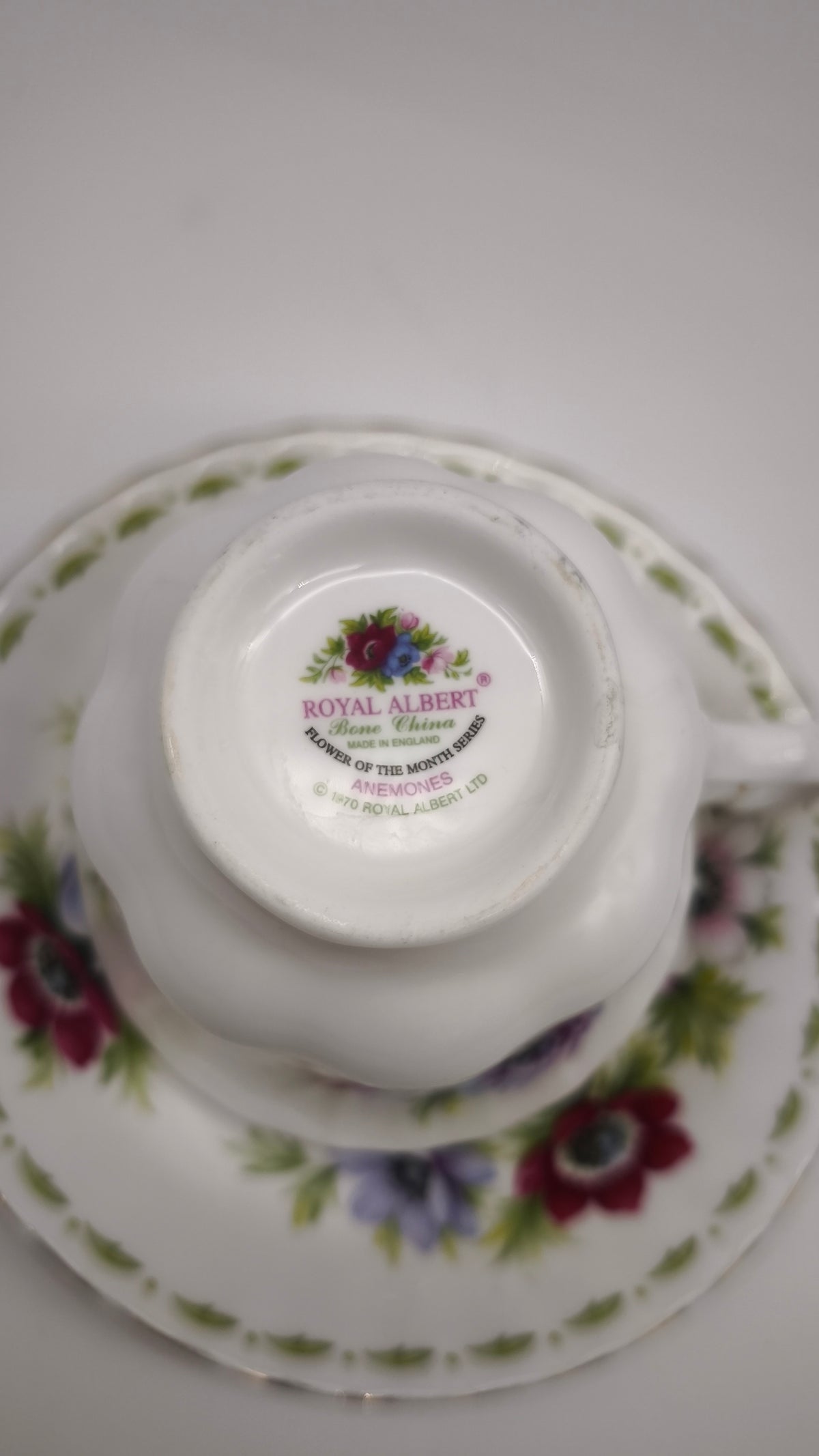 93629 Tazza da tè in ceramica Royal Albert, Flower of the month series, Anemones, March