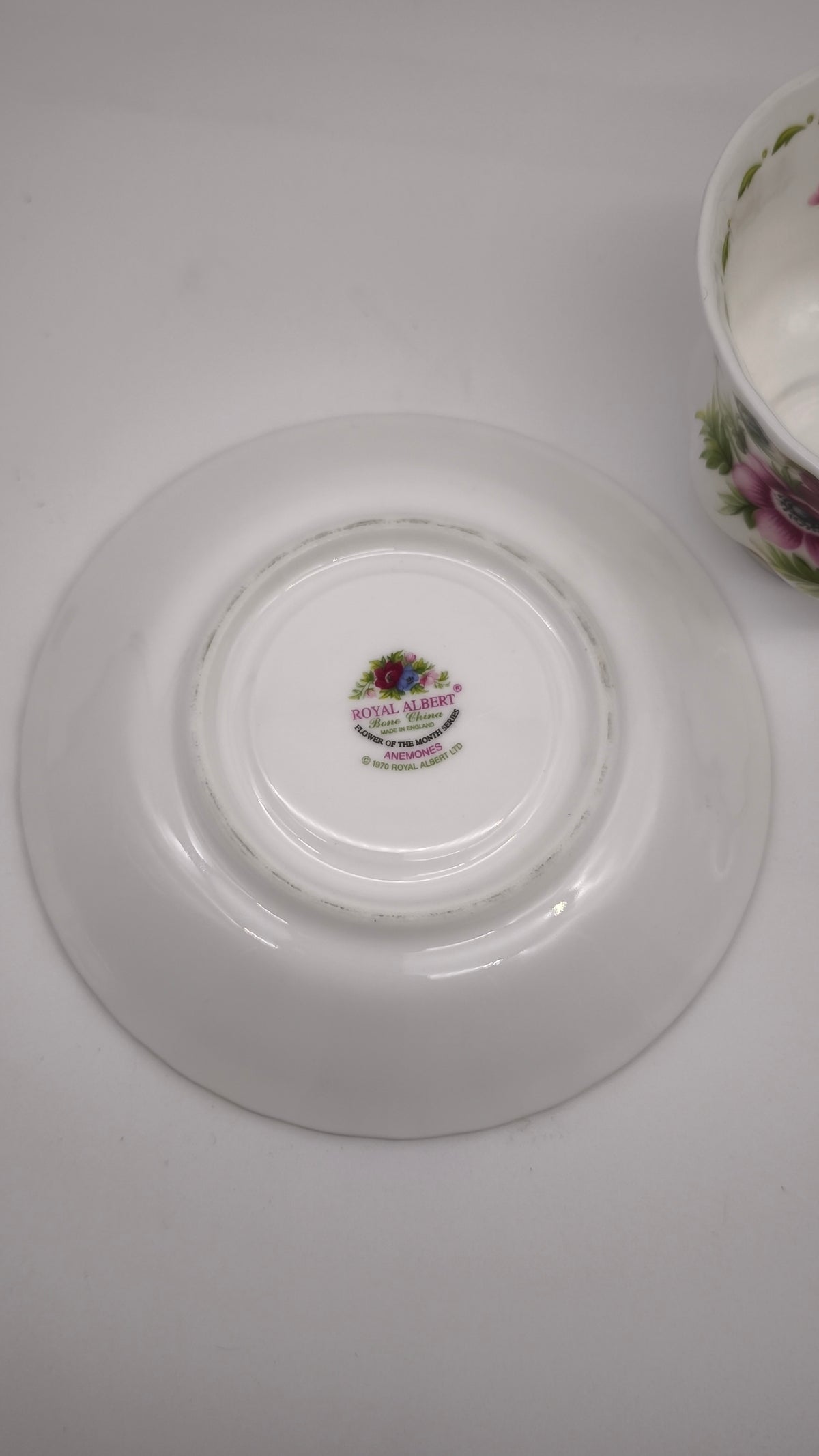 93629 Tazza da tè in ceramica Royal Albert, Flower of the month series, Anemones, March
