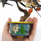 94084 Bonsai in pietre dure con vasetto cloisonné