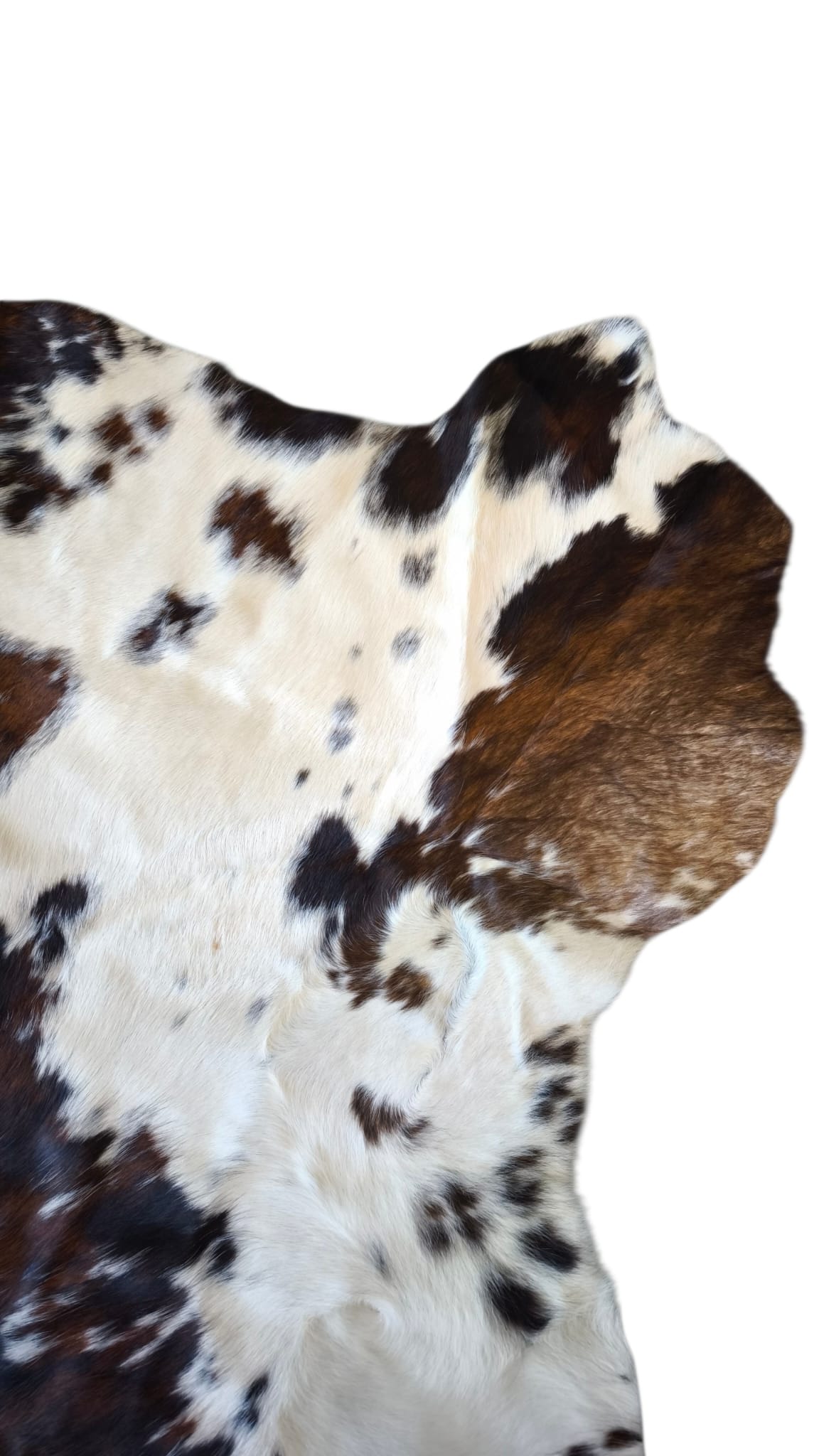 91408 Tappeto in vera pelle bovina