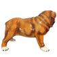 56535 Bulldog inglese in ceramica Made in Italy