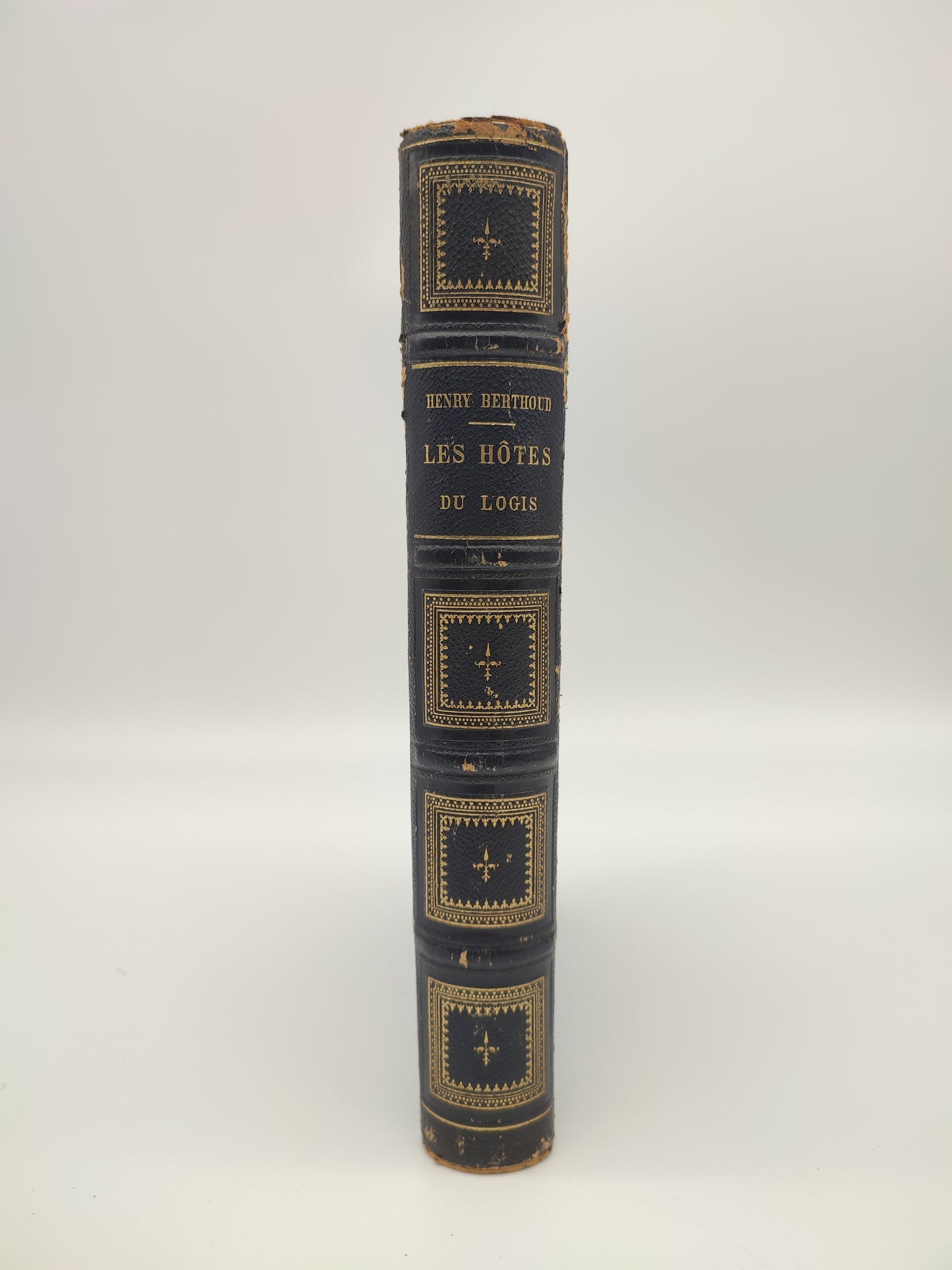 Libro di S. Henry Berthoud, Les Hotes du logis, Paris 1867