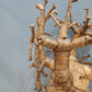 55748 Baobab decorativo in paglia intrecciata